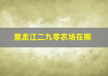 黑龙江二九零农场在哪