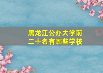 黑龙江公办大学前二十名有哪些学校