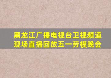 黑龙江广播电视台卫视频道现场直播回放五一劳模晚会