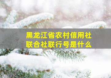 黑龙江省农村信用社联合社联行号是什么