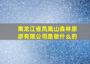 黑龙江省凤凰山森林旅游有限公司是做什么的