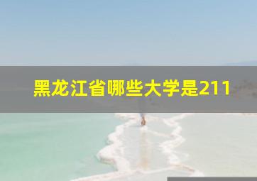 黑龙江省哪些大学是211