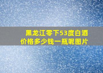 黑龙江零下53度白酒价格多少钱一瓶呢图片