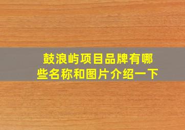 鼓浪屿项目品牌有哪些名称和图片介绍一下