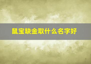 鼠宝缺金取什么名字好