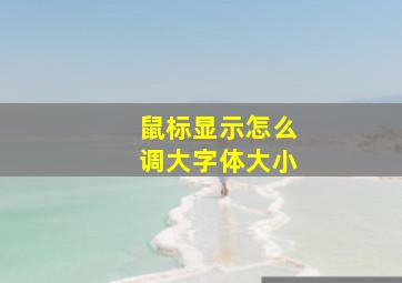 鼠标显示怎么调大字体大小