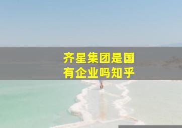 齐星集团是国有企业吗知乎