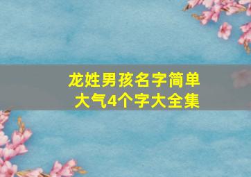 龙姓男孩名字简单大气4个字大全集