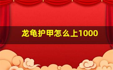 龙龟护甲怎么上1000