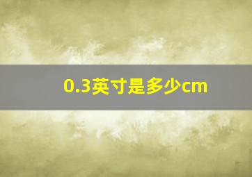 0.3英寸是多少cm