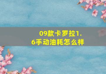 09款卡罗拉1.6手动油耗怎么样