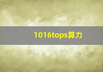 1016tops算力