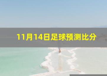 11月14日足球预测比分