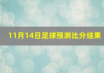 11月14日足球预测比分结果