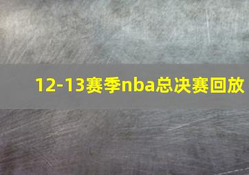 12-13赛季nba总决赛回放