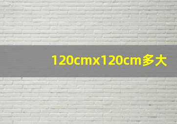 120cmx120cm多大