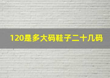 120是多大码鞋子二十几码