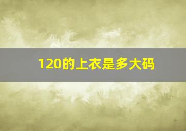 120的上衣是多大码