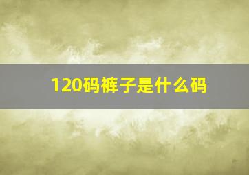 120码裤子是什么码