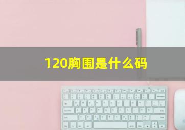 120胸围是什么码