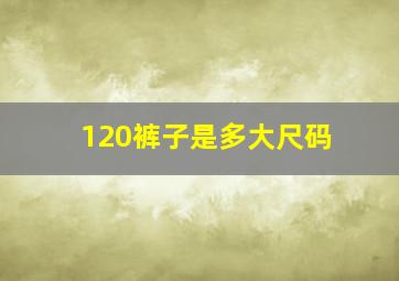 120裤子是多大尺码