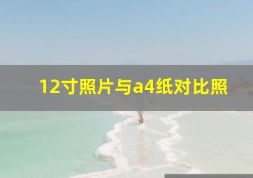 12寸照片与a4纸对比照