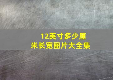 12英寸多少厘米长宽图片大全集