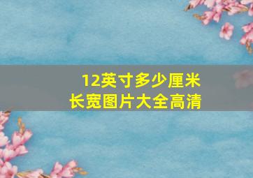 12英寸多少厘米长宽图片大全高清