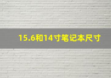 15.6和14寸笔记本尺寸