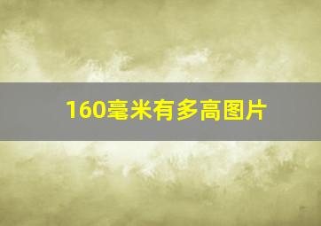 160毫米有多高图片