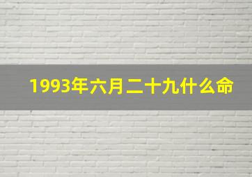 1993年六月二十九什么命