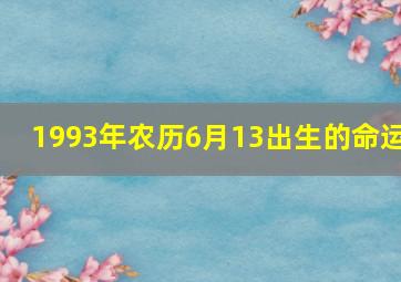 1993年农历6月13出生的命运