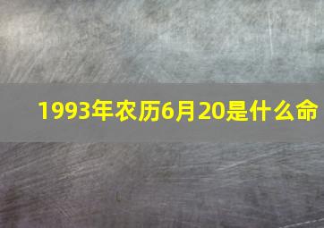 1993年农历6月20是什么命