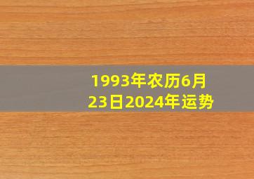 1993年农历6月23日2024年运势