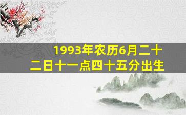 1993年农历6月二十二日十一点四十五分出生