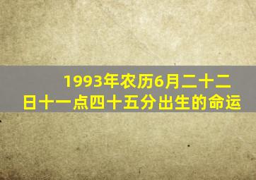 1993年农历6月二十二日十一点四十五分出生的命运