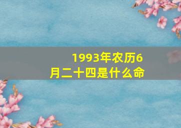 1993年农历6月二十四是什么命