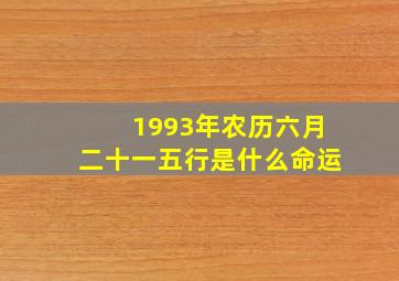 1993年农历六月二十一五行是什么命运