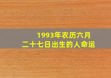 1993年农历六月二十七日出生的人命运