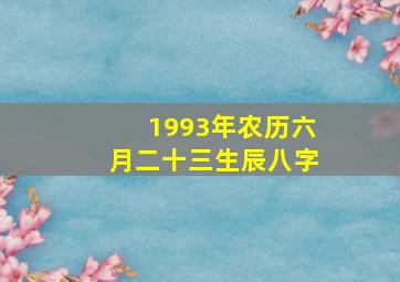 1993年农历六月二十三生辰八字