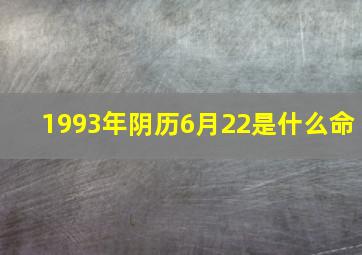 1993年阴历6月22是什么命