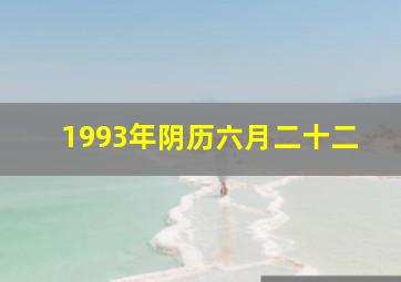 1993年阴历六月二十二