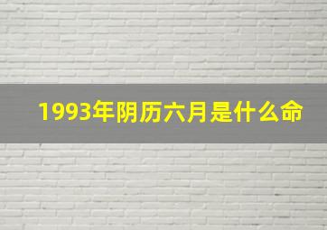 1993年阴历六月是什么命