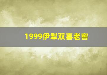 1999伊犁双喜老窖