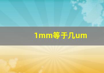 1mm等于几um