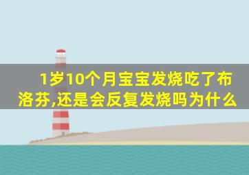 1岁10个月宝宝发烧吃了布洛芬,还是会反复发烧吗为什么