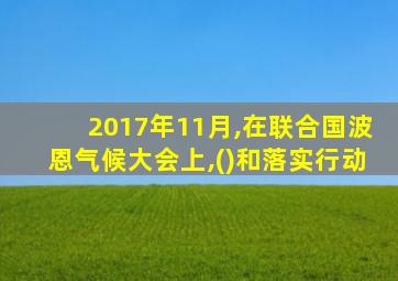 2017年11月,在联合国波恩气候大会上,()和落实行动