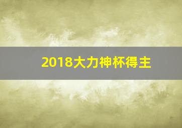 2018大力神杯得主