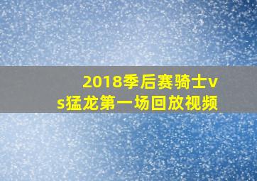 2018季后赛骑士vs猛龙第一场回放视频