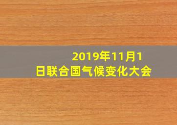 2019年11月1日联合国气候变化大会